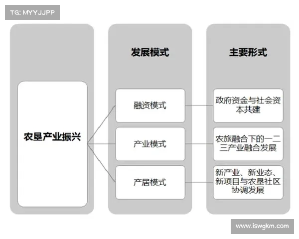 内蒙古发布曲棍球三年行动方案 推动竞技成绩与产业融合双向发展